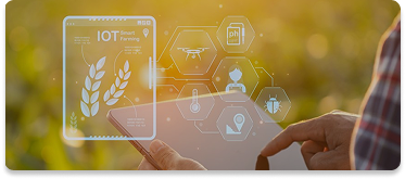 المراقبة والتحليلات