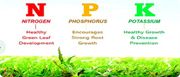 مجسات NPK للتربة